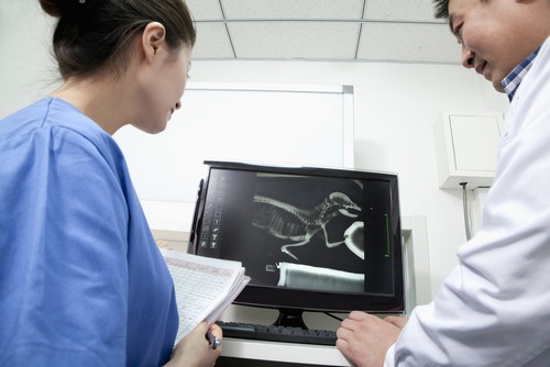 Advanced Digital X-rays  Houston, TX 