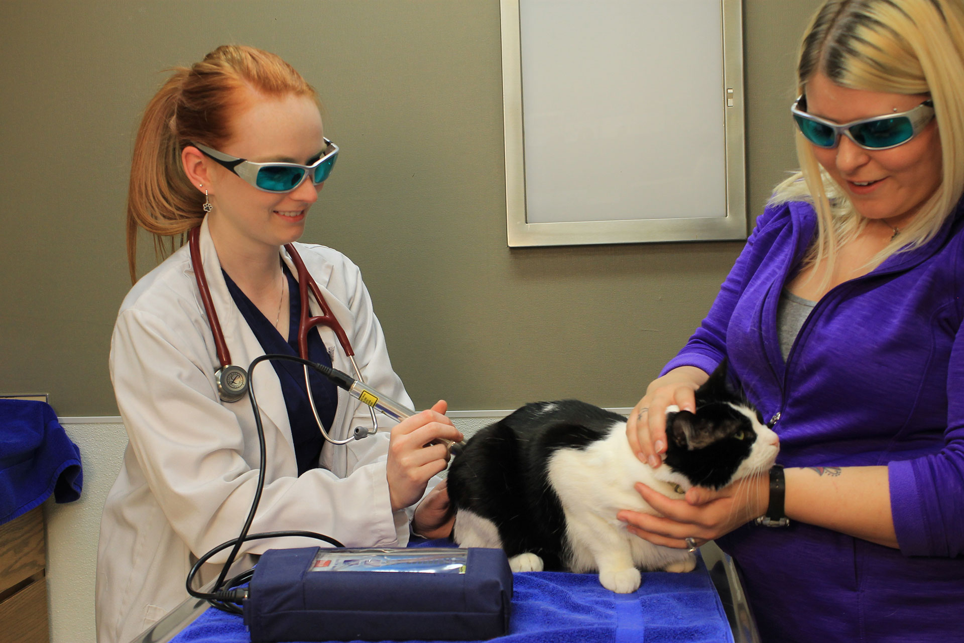 Laser Therapy  Houston, TX 