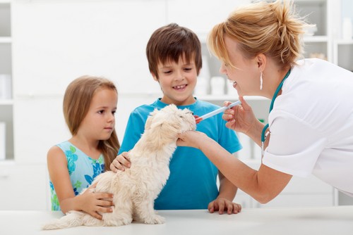 Vaccinations  Houston, TX 