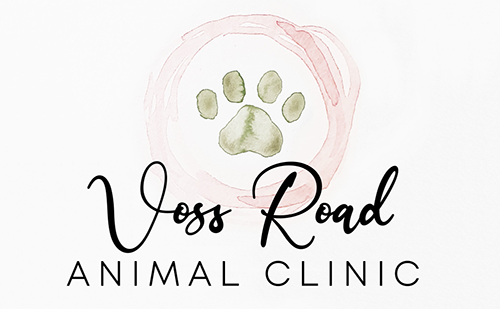 Voss Road Animal Clinic